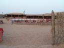 Desert Safari Camp Site