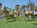 Dean Loves Golden Horses