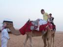 Grumpy the Camel - He was a happy camel indeed.