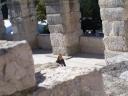 Maria in the Colloseum 2